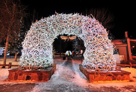 Shed Antler Arches