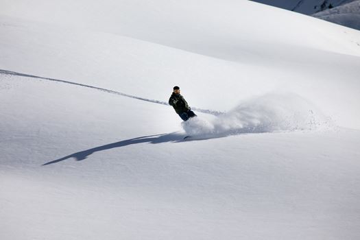 Grand Targhee Powder Snowboarder